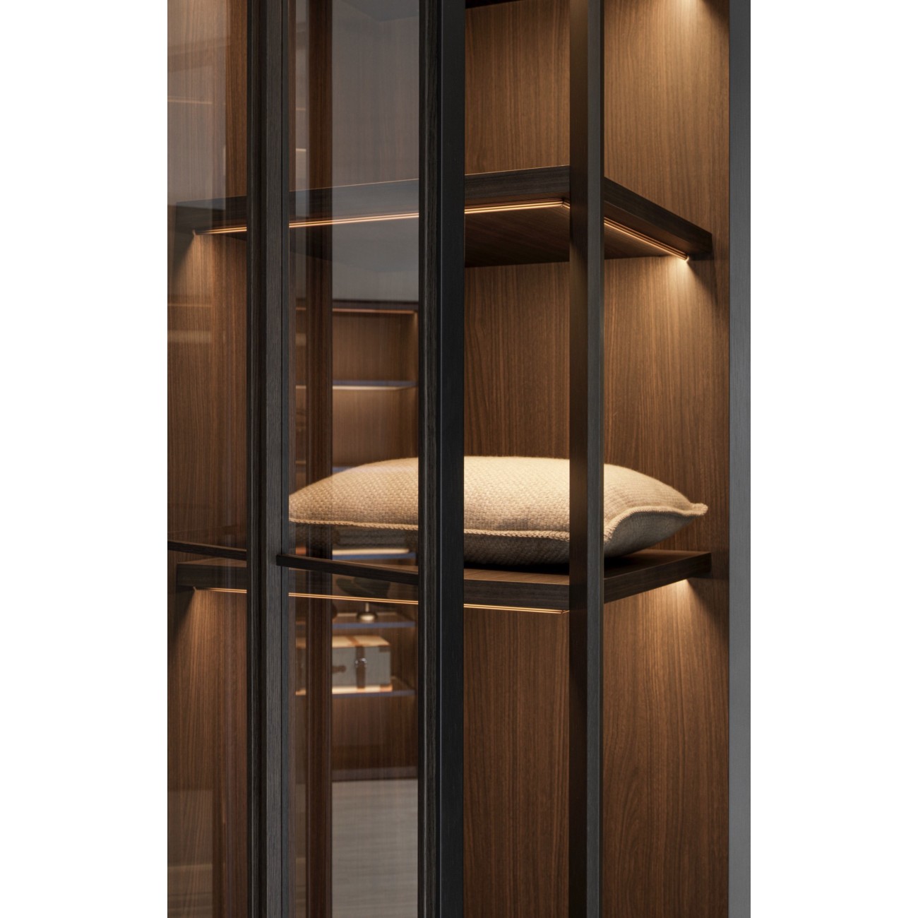 MOLTENI&C GLISS MASTER MERIDIAN DOORS ARMADIO
