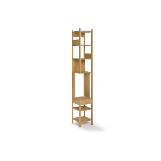 CASSINA LUNGANGOLO BOOKSHELF