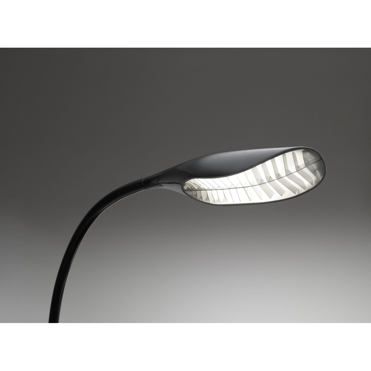 ARTEMIDE - DORIDE - NERO