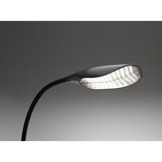 ARTEMIDE - DORIDE - NERO