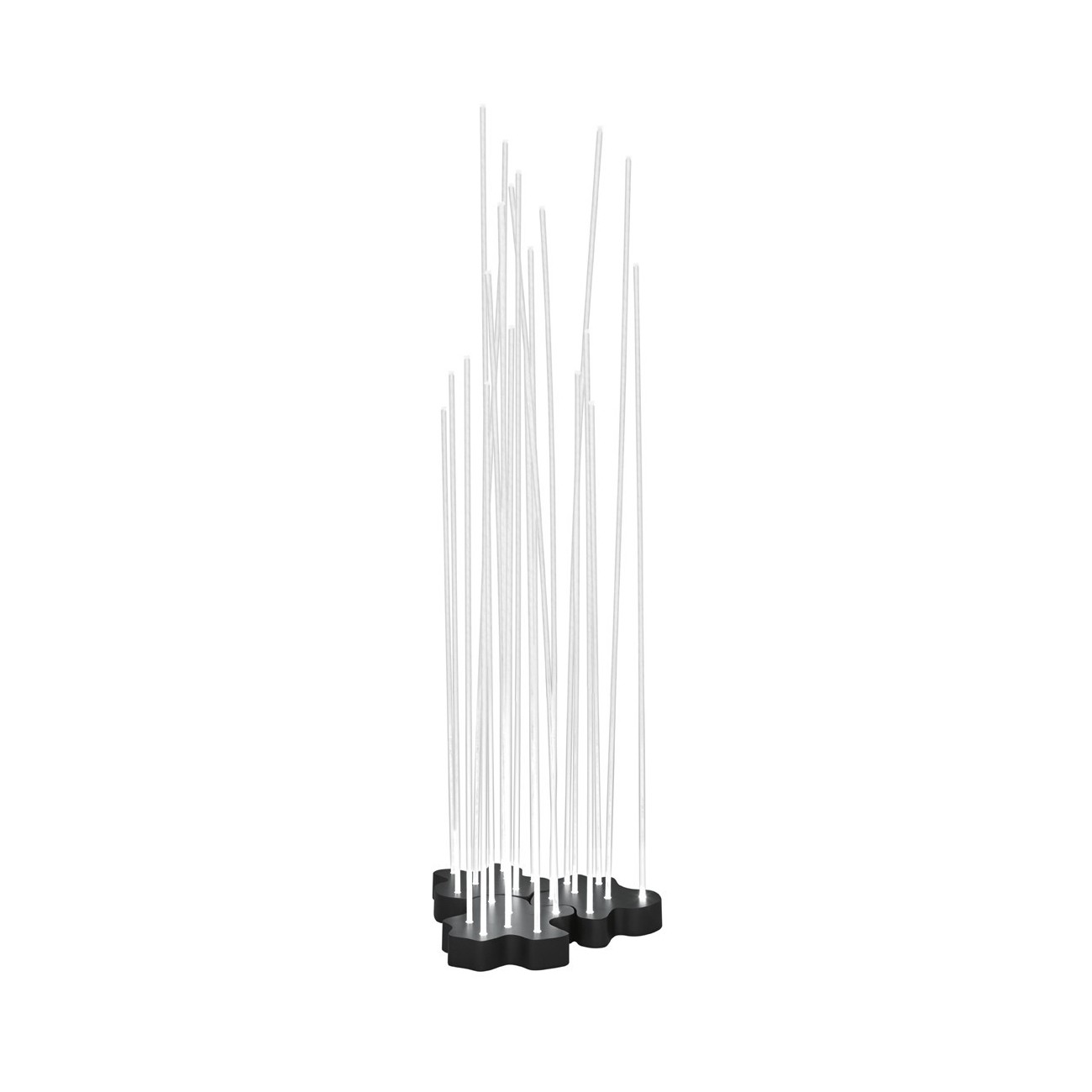 ARTEMIDE  REEDS  DA TERRA