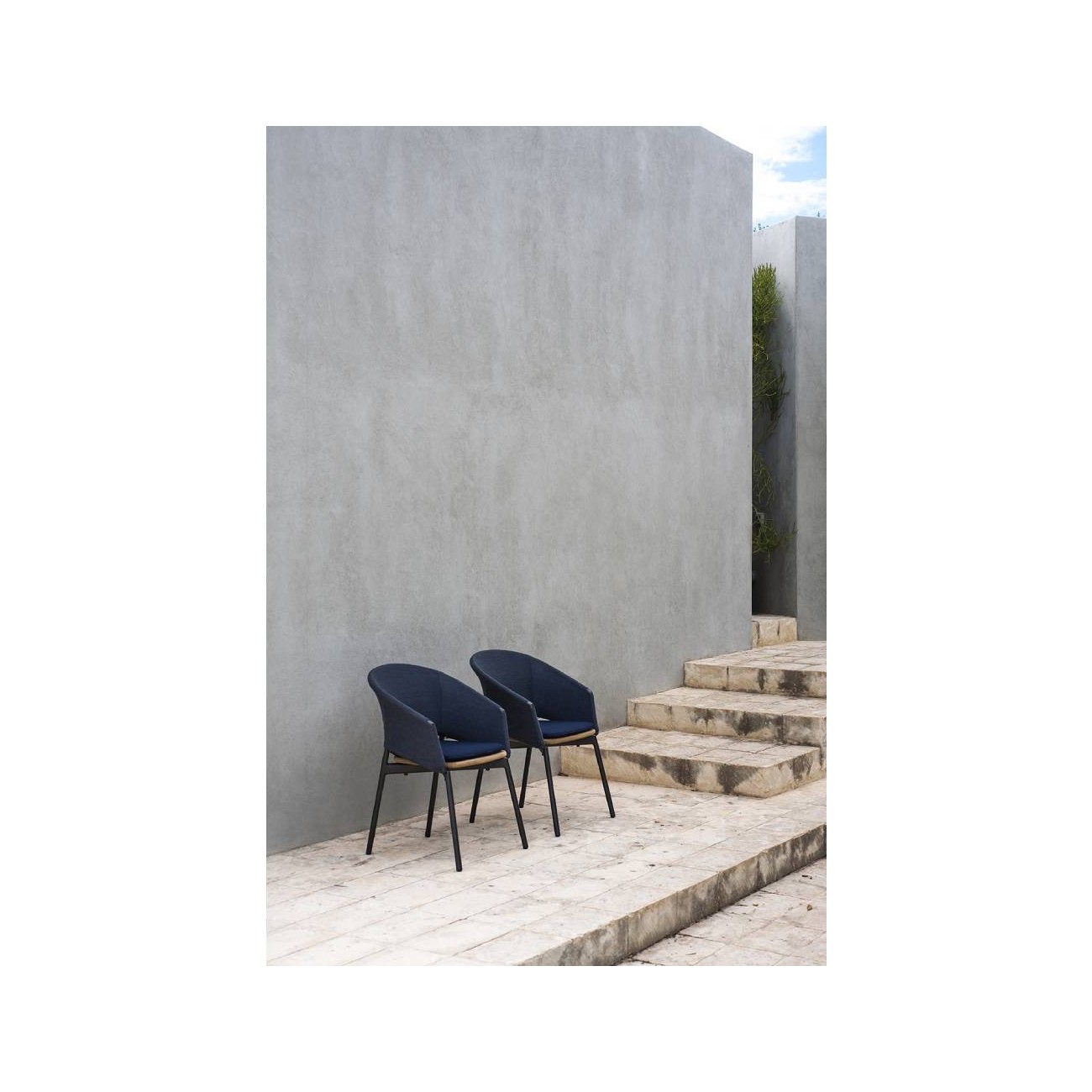 RODA POLTRONCINA PIPER 022