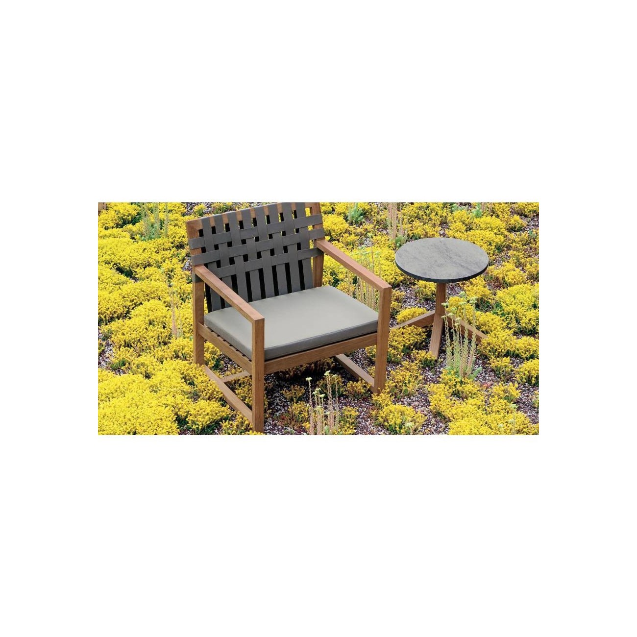 RODA POLTRONA NETWORK 168