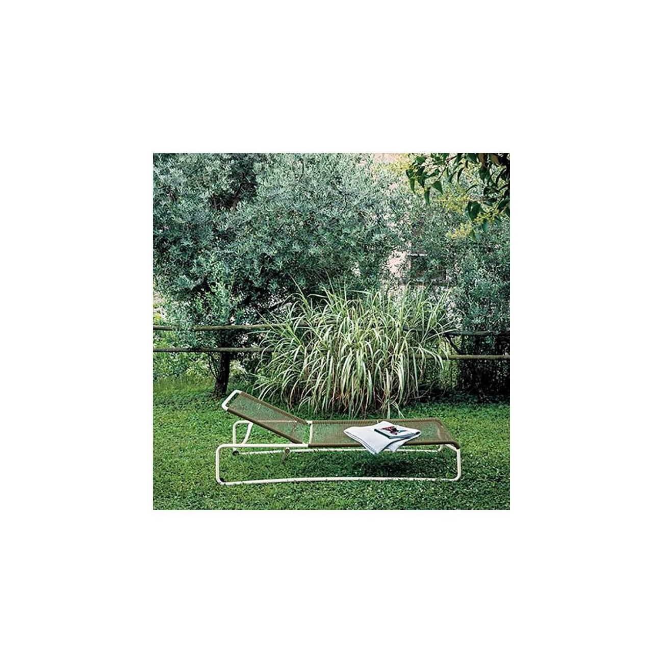 RODA LETTINO HARP