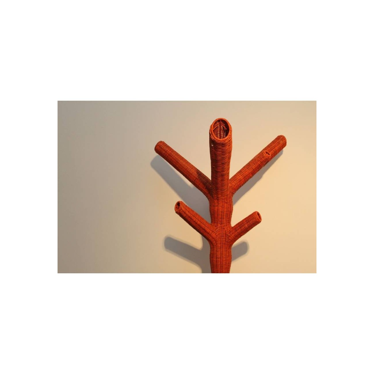 GERVASONI APPENDIABITI CORALLO