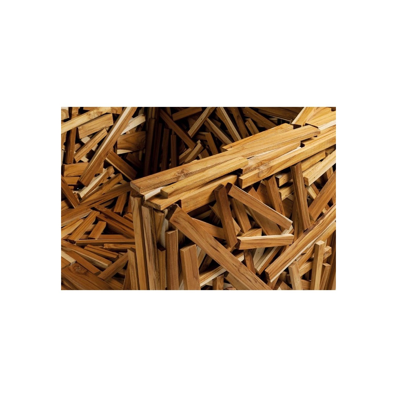 EDRA FAVELA PINUS SEDIA