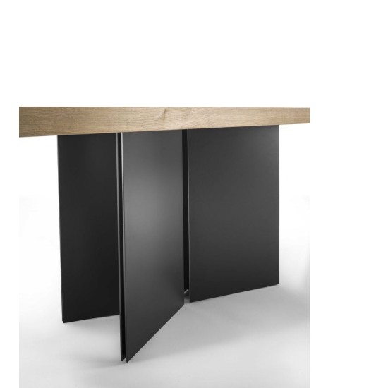 RIVA 1920 KAURI AMBO