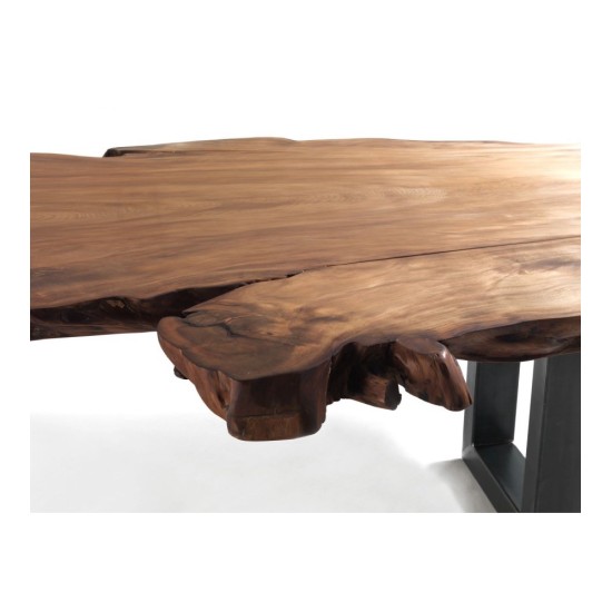 RIVA 1920 KAURI AUCKLAND