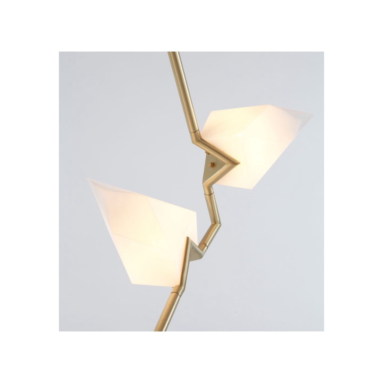 ROLL&HILL SEED COLLECTION