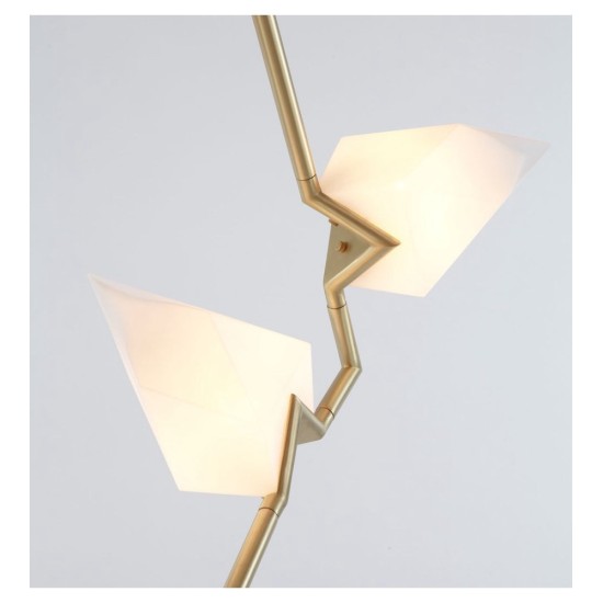 ROLL&HILL SEED COLLECTION