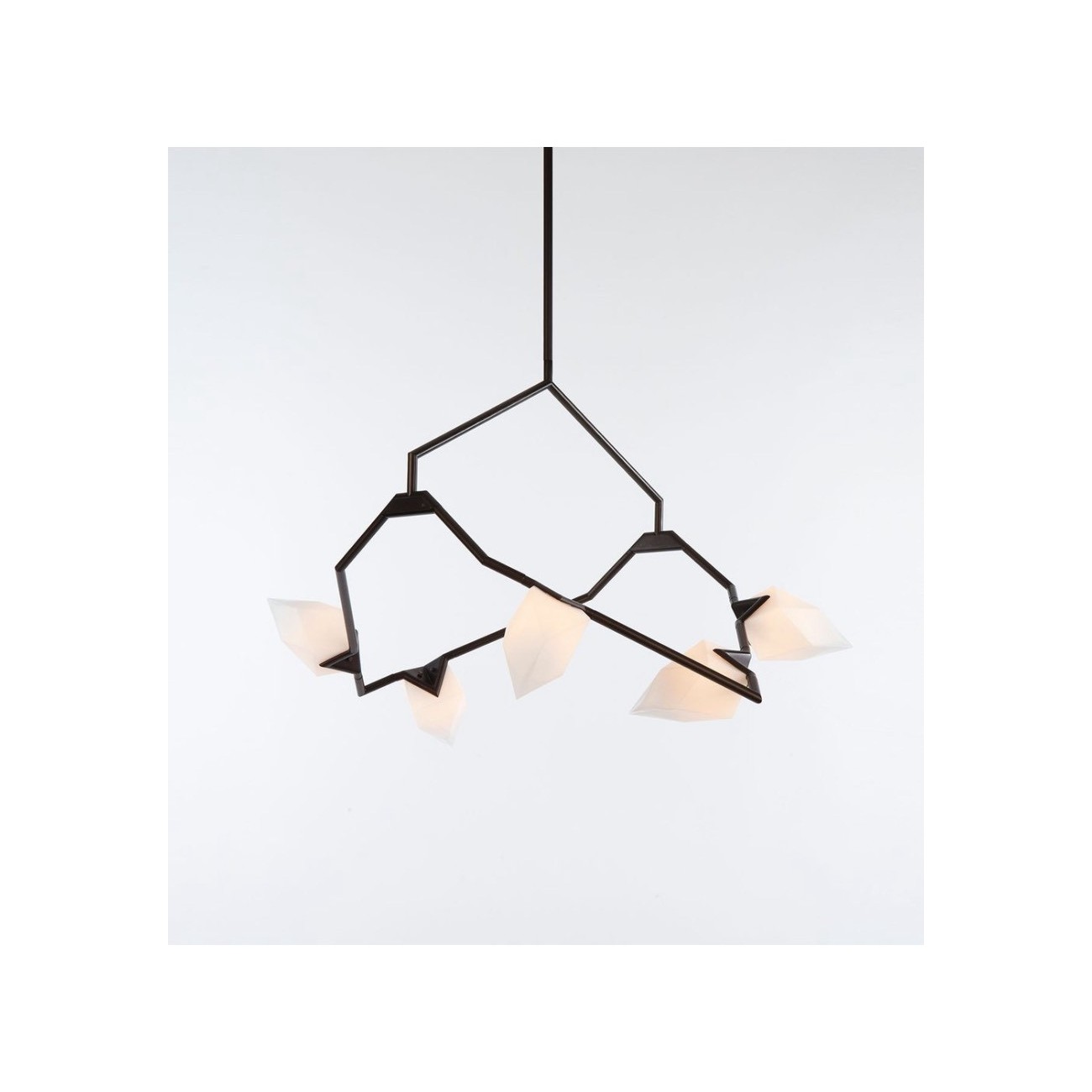 ROLL&HILL SEED COLLECTION