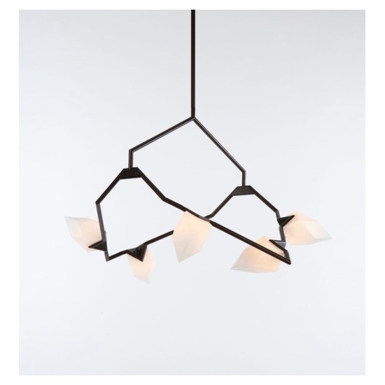 ROLL&HILL SEED COLLECTION