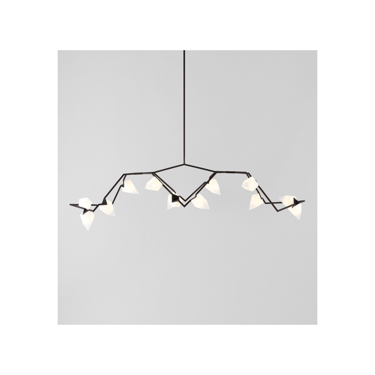 ROLL&HILL SEED COLLECTION