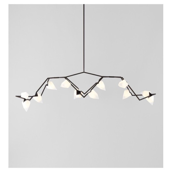 ROLL&HILL SEED COLLECTION