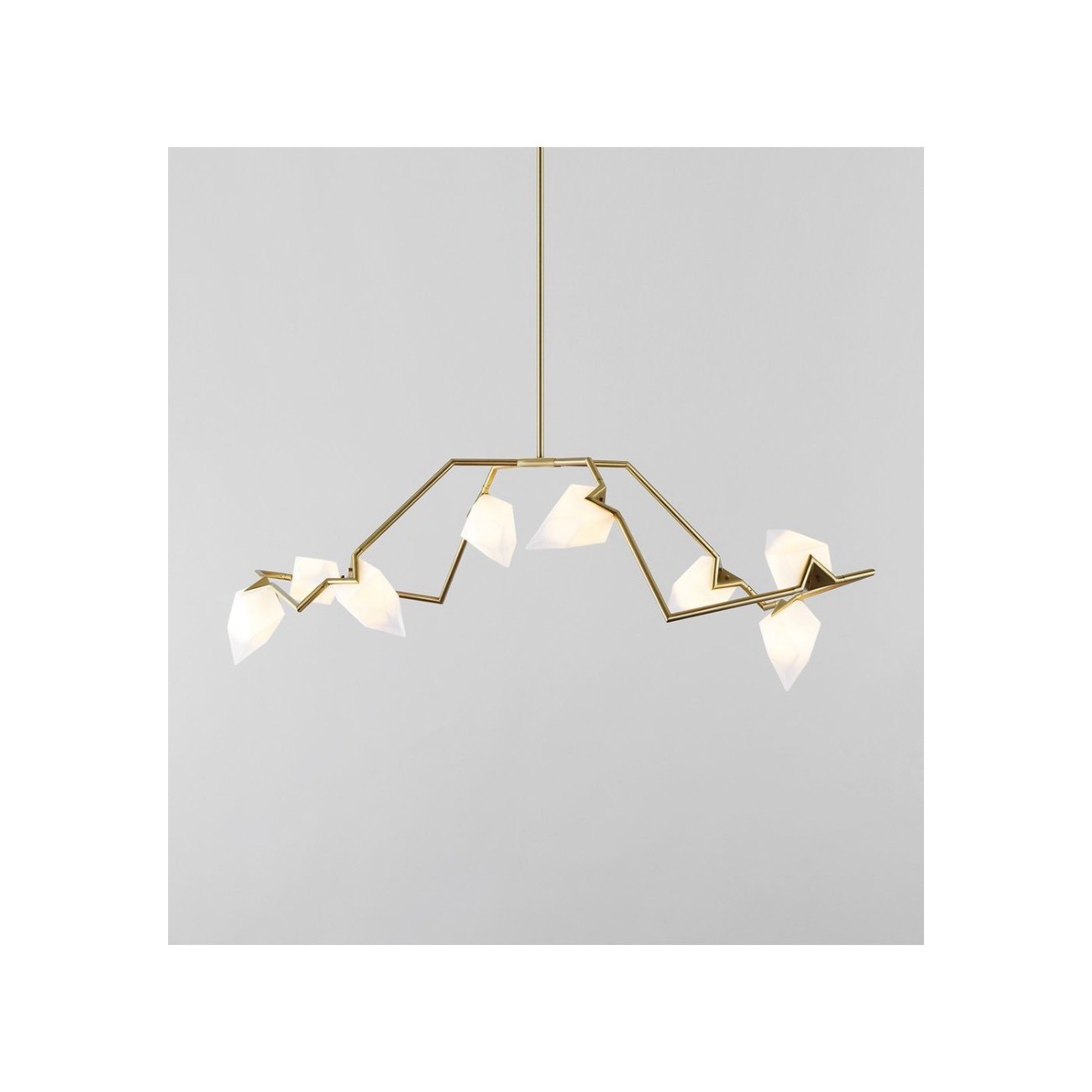 ROLL&HILL SEED COLLECTION