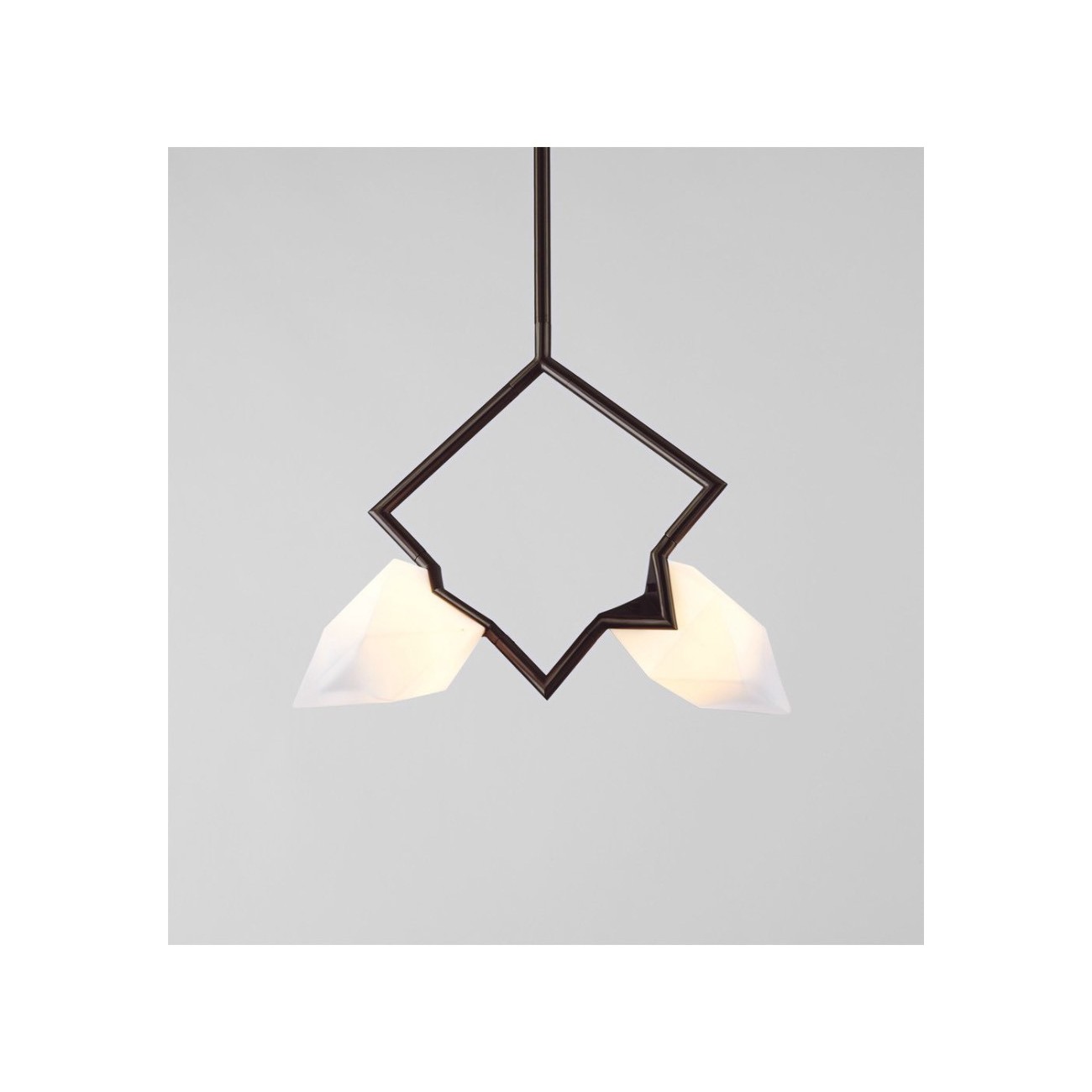 ROLL&HILL SEED COLLECTION