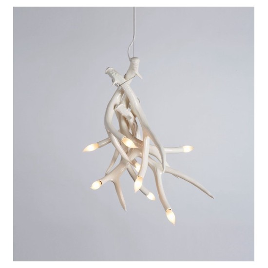 ROLL&HILL SUPERORDINATE COLLECTION