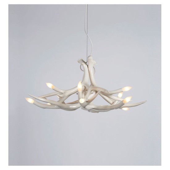 ROLL&HILL SUPERORDINATE COLLECTION