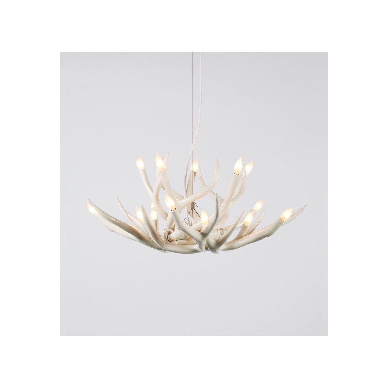 ROLL&HILL SUPERORDINATE COLLECTION