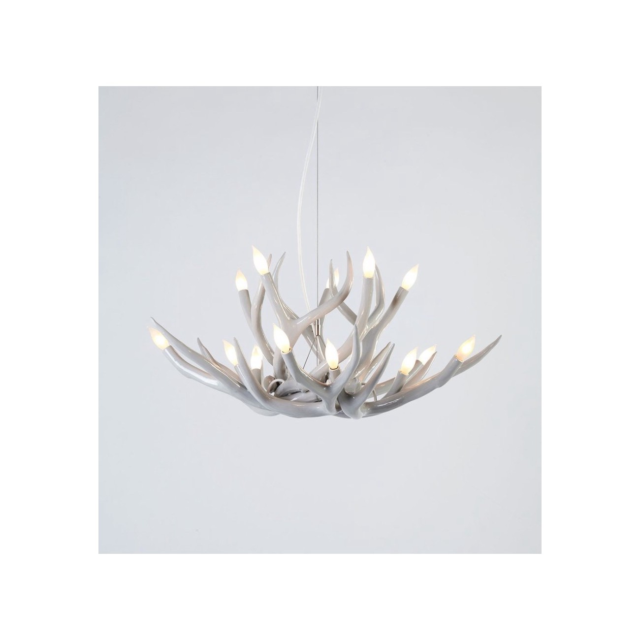 ROLL&HILL SUPERORDINATE COLLECTION