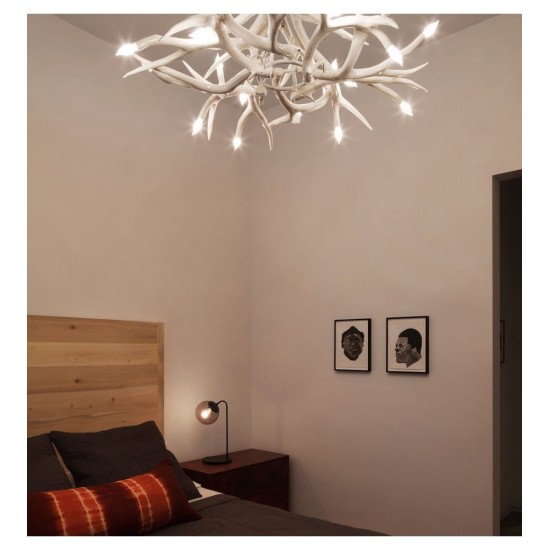 ROLL&HILL SUPERORDINATE COLLECTION