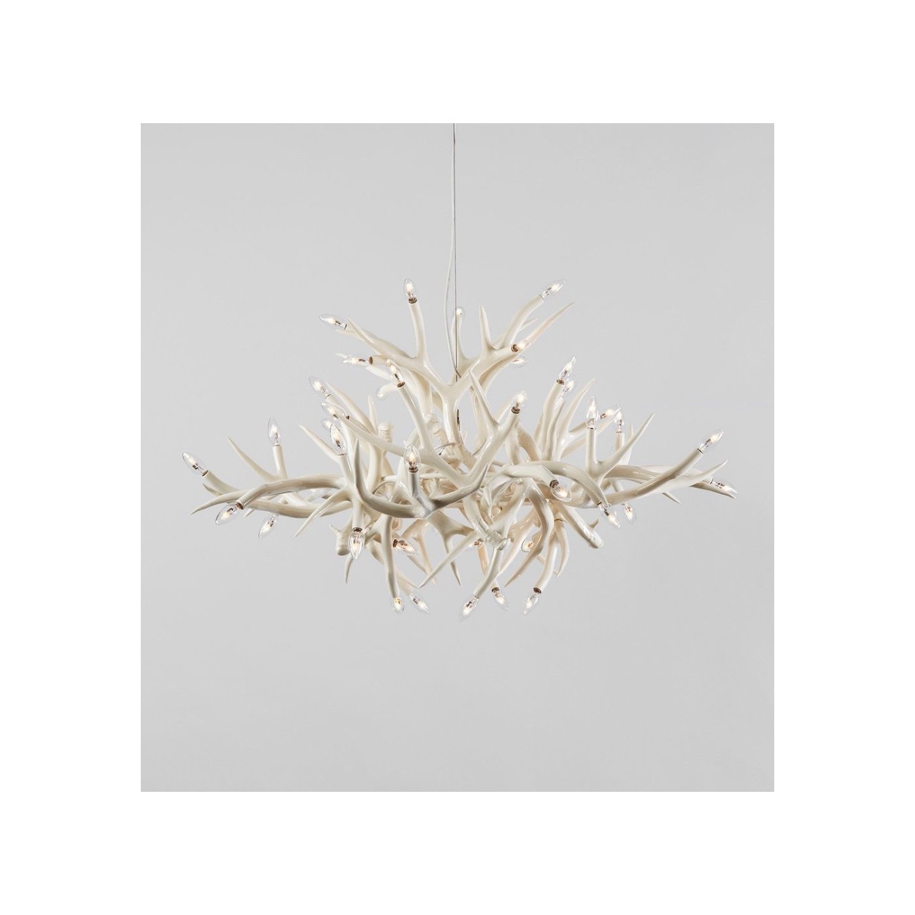 ROLL&HILL SUPERORDINATE COLLECTION