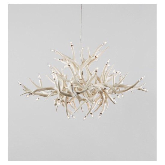 ROLL&HILL SUPERORDINATE COLLECTION