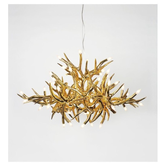 ROLL&HILL SUPERORDINATE COLLECTION