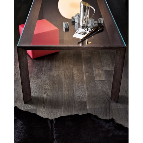 GALLOTTI&RADICE KOY