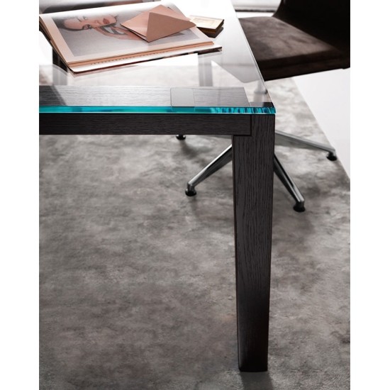 GALLOTTI & RADICE WGS