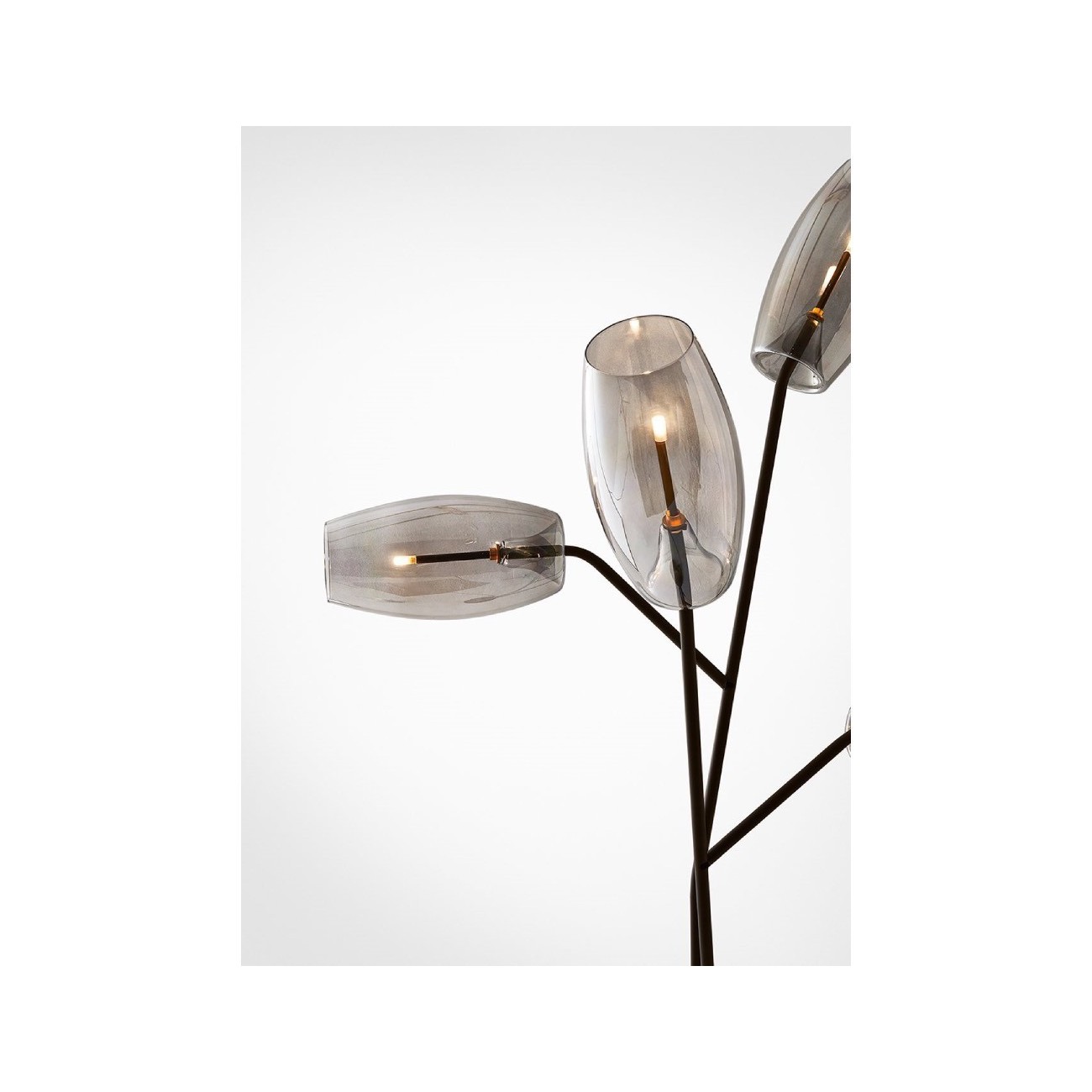 GALLOTTI&RADICE DIANTHA TERRA