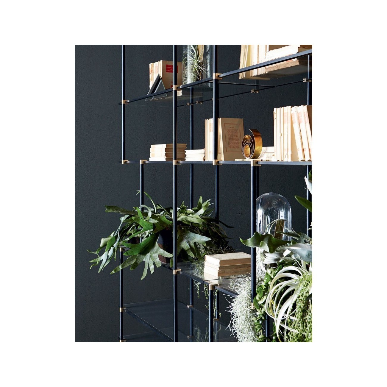 GALLOTTI&RADICE DRIZZLE