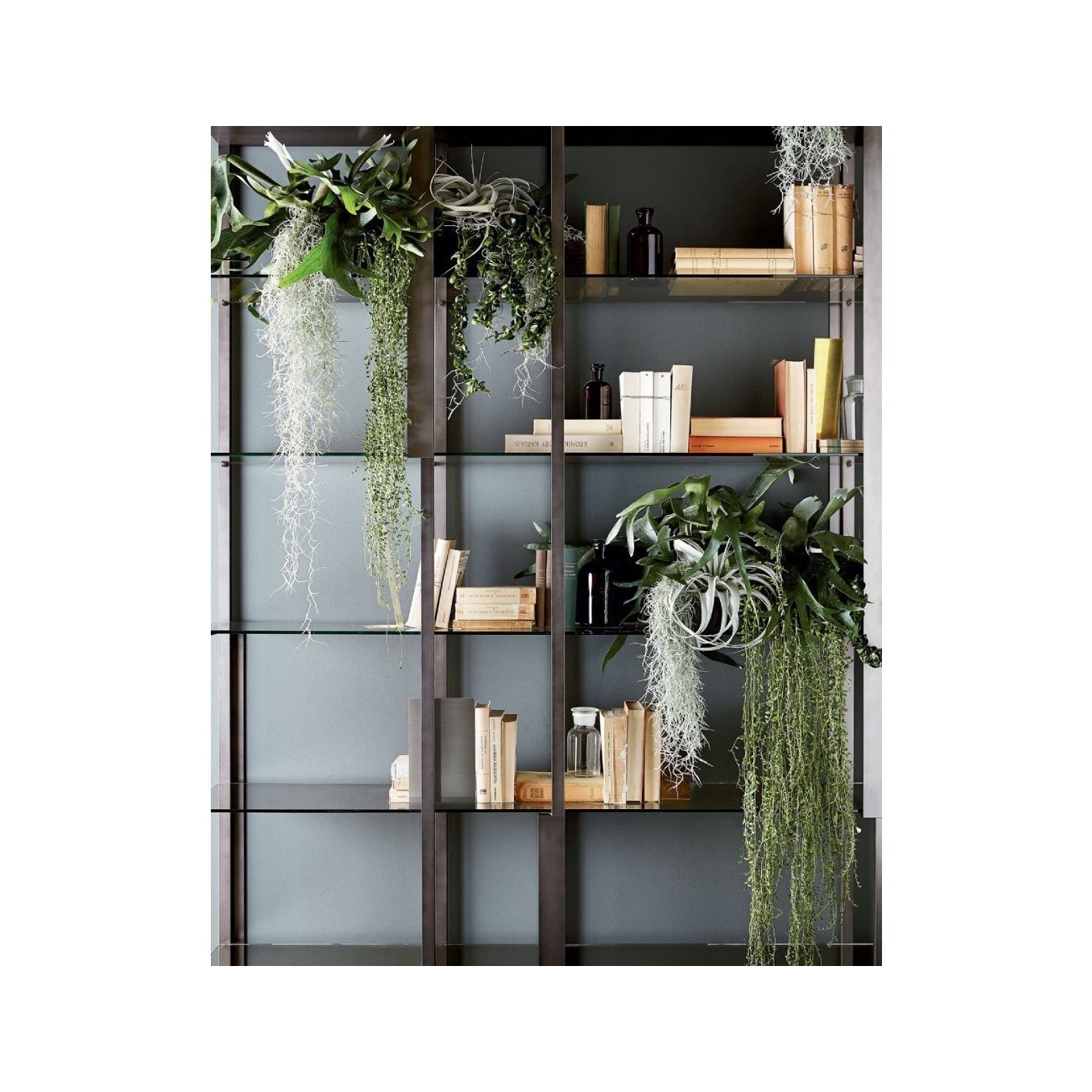 GALLOTTI&RADICE TORTONA