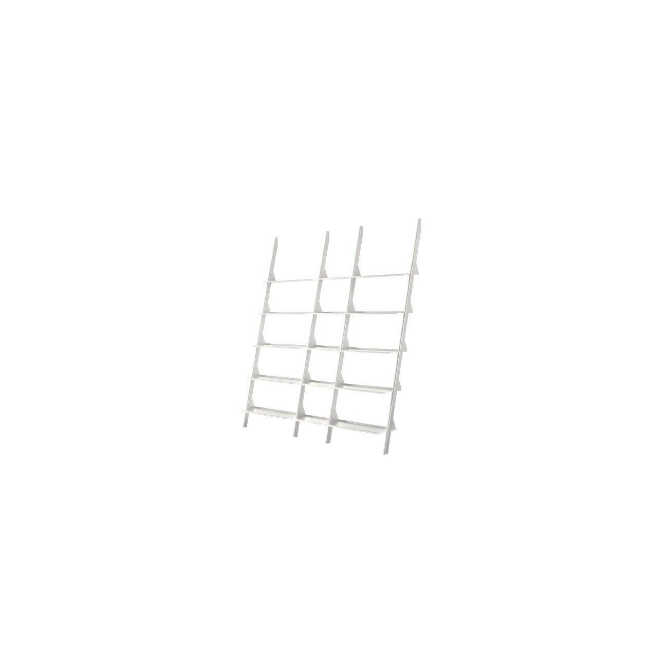 MAGIS THE WILD BUNCH LIBRERIA