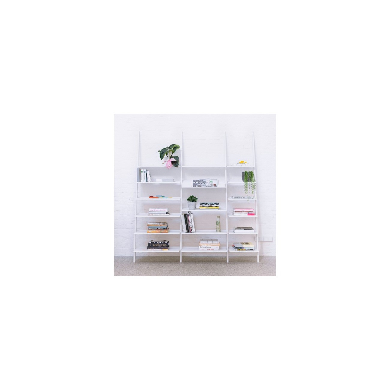 MAGIS THE WILD BUNCH LIBRERIA