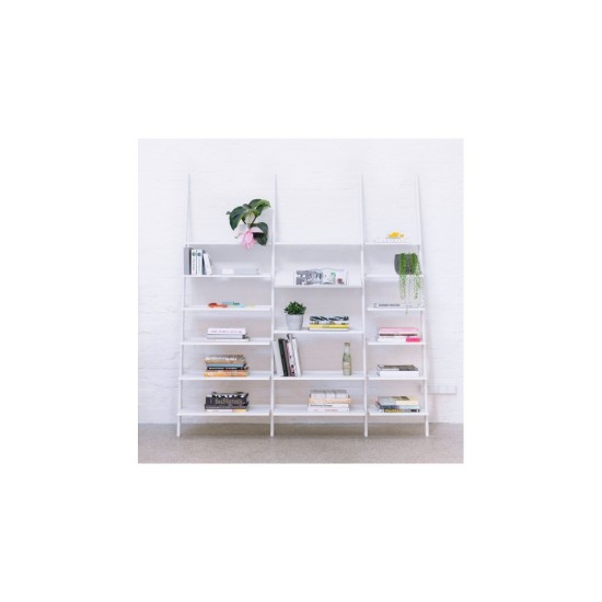 MAGIS THE WILD BUNCH LIBRERIA