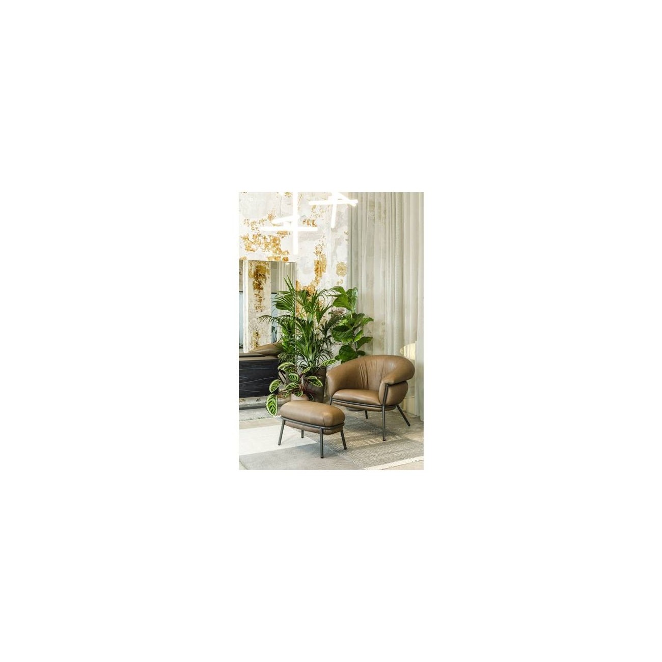 BD BARCELONA GRASSO POLTRONA