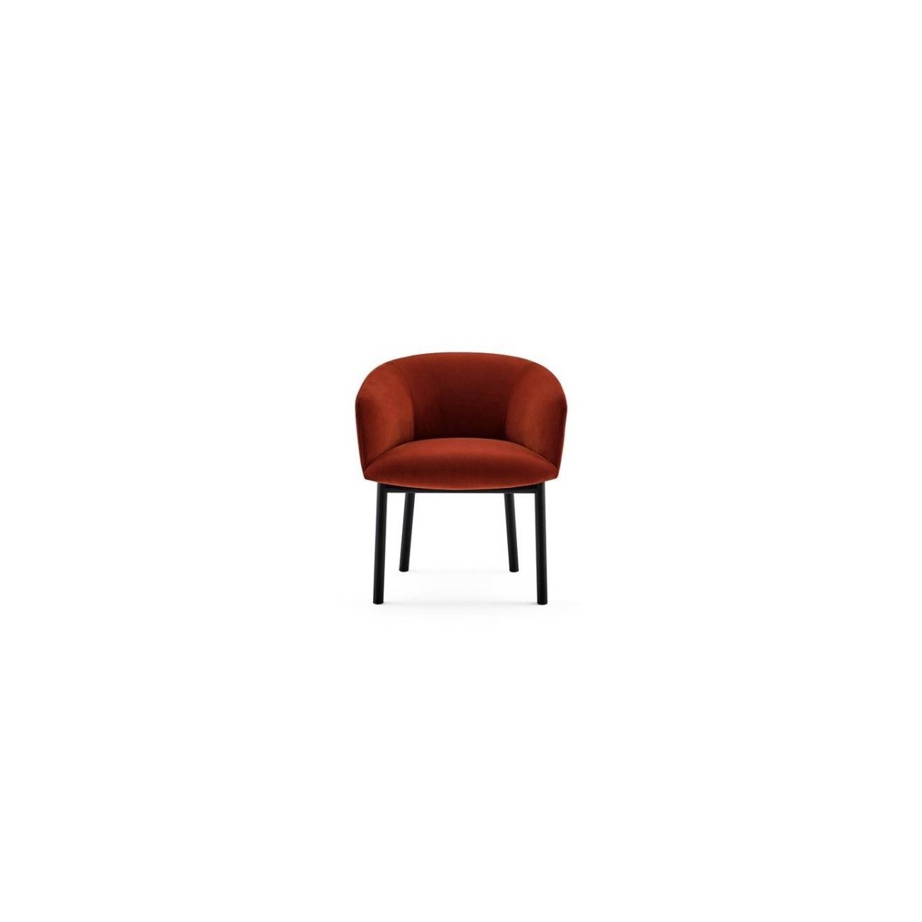 GALLOTTI&RADICE LIVRETTE POLTRONA