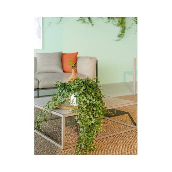 MDF ITALIA ARPA TAVOLINO