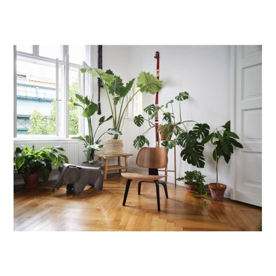 VITRA PLYWOOD GROUP LCW 75th ANNIVERSARY EDITION SEDIA