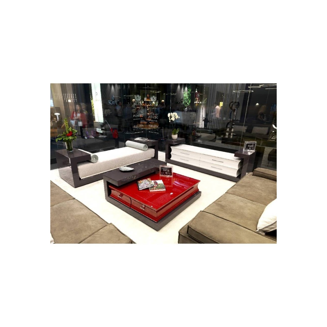 FRANCESCO MOLON C710 MOBILE TV