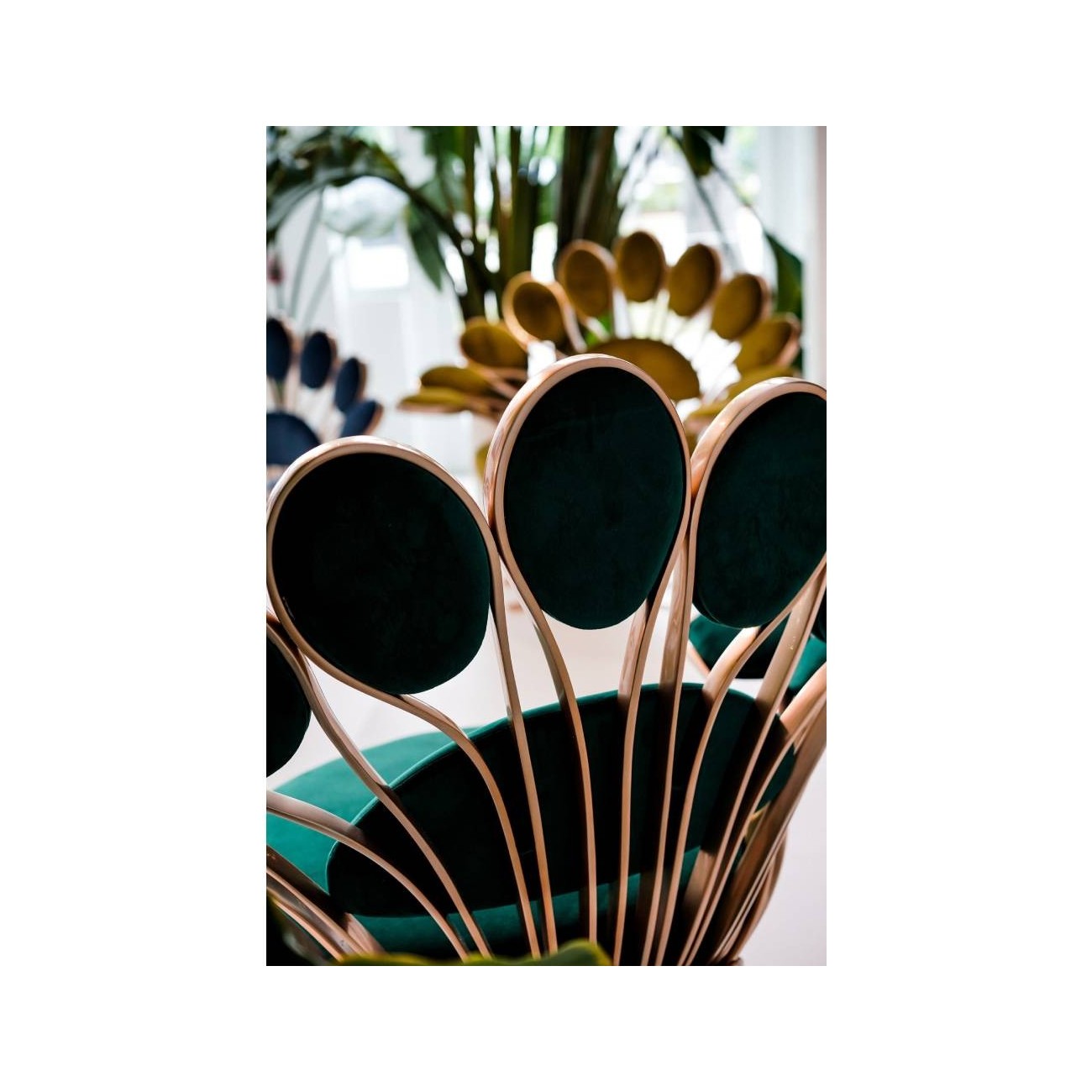 VISIONNAIRE PAVONE POLTRONA