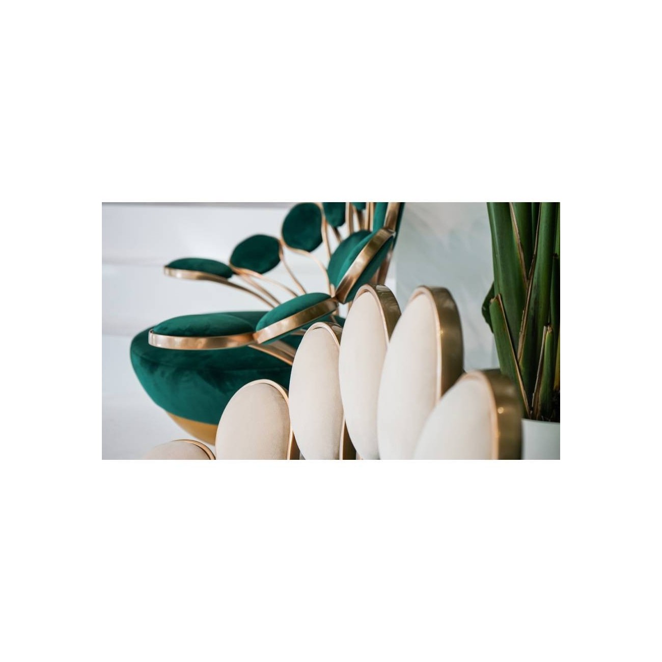 VISIONNAIRE PAVONE POLTRONA