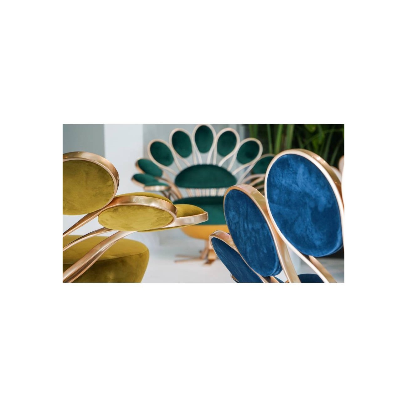 VISIONNAIRE PAVONE POLTRONA