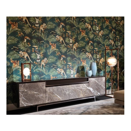 VISIONNAIRE BARNEY MADIA