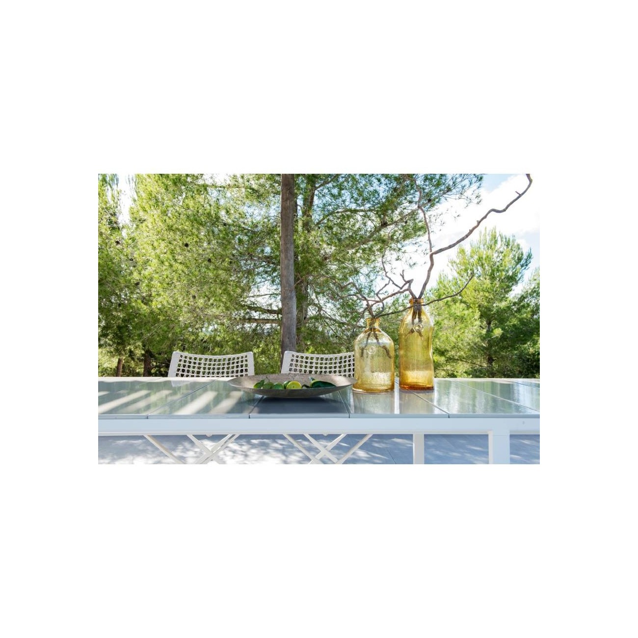 TRIBU REGISTRA SEDIA