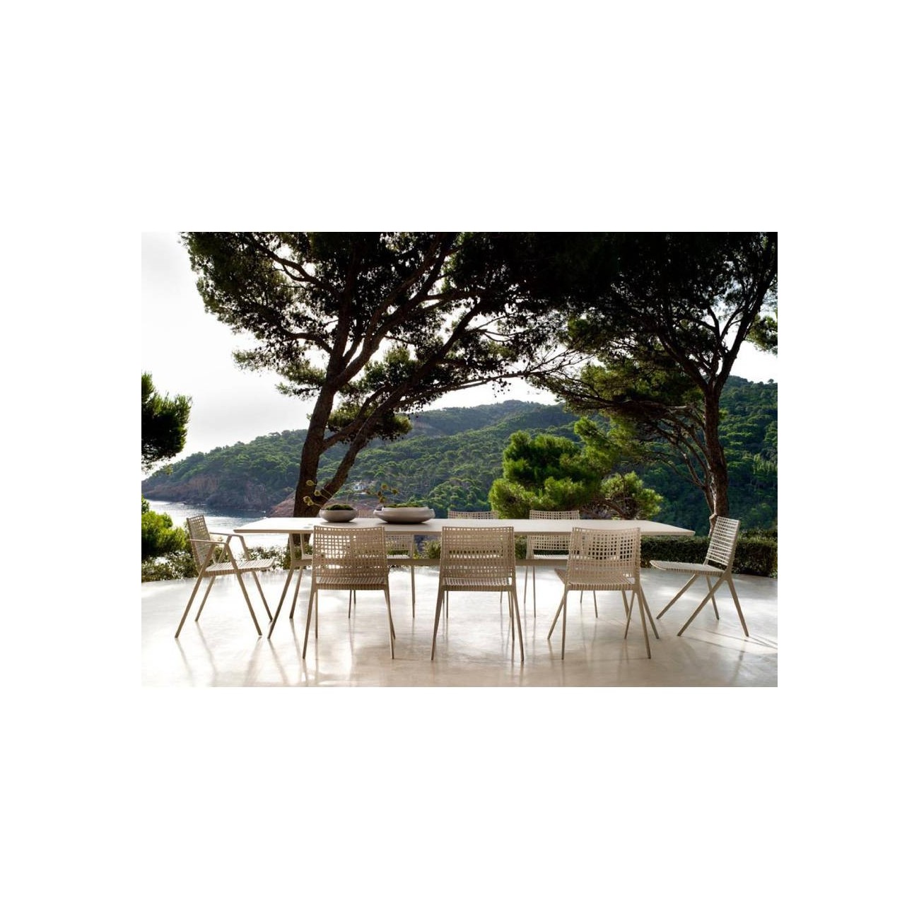 TRIBU BRANCH TAVOLO