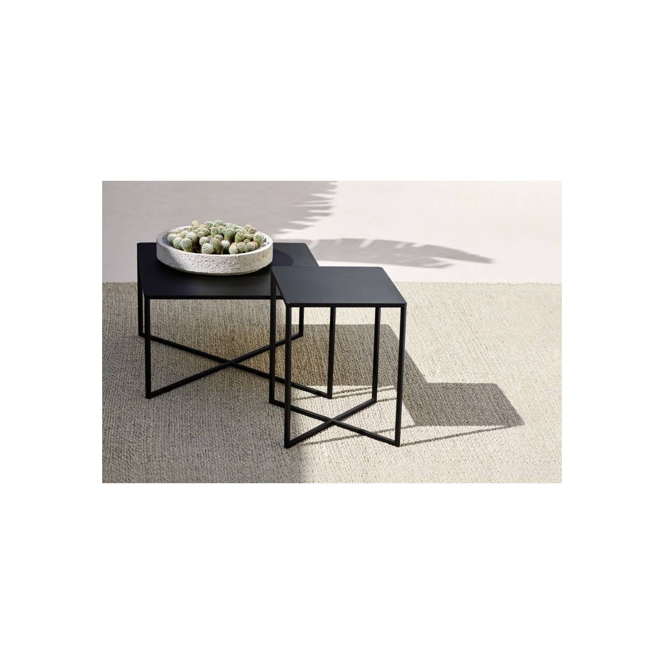 TRIBU NATAL ALU X TAVOLINO