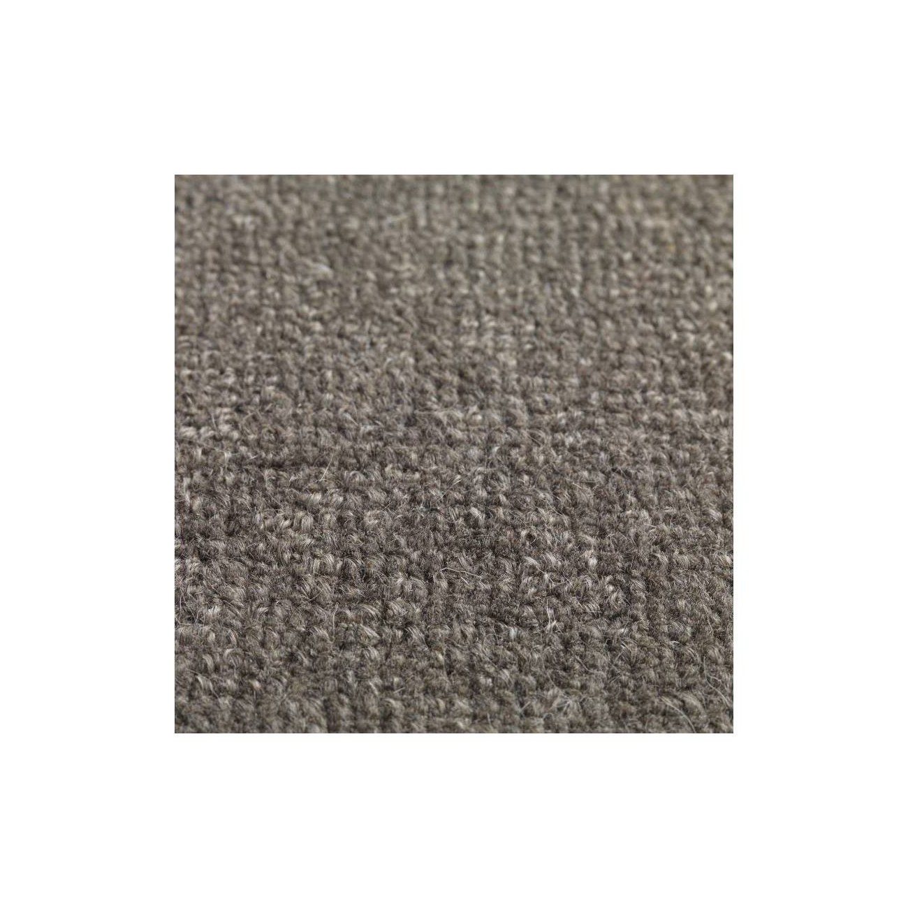 JACARANDA CHENNAI TAPPETI