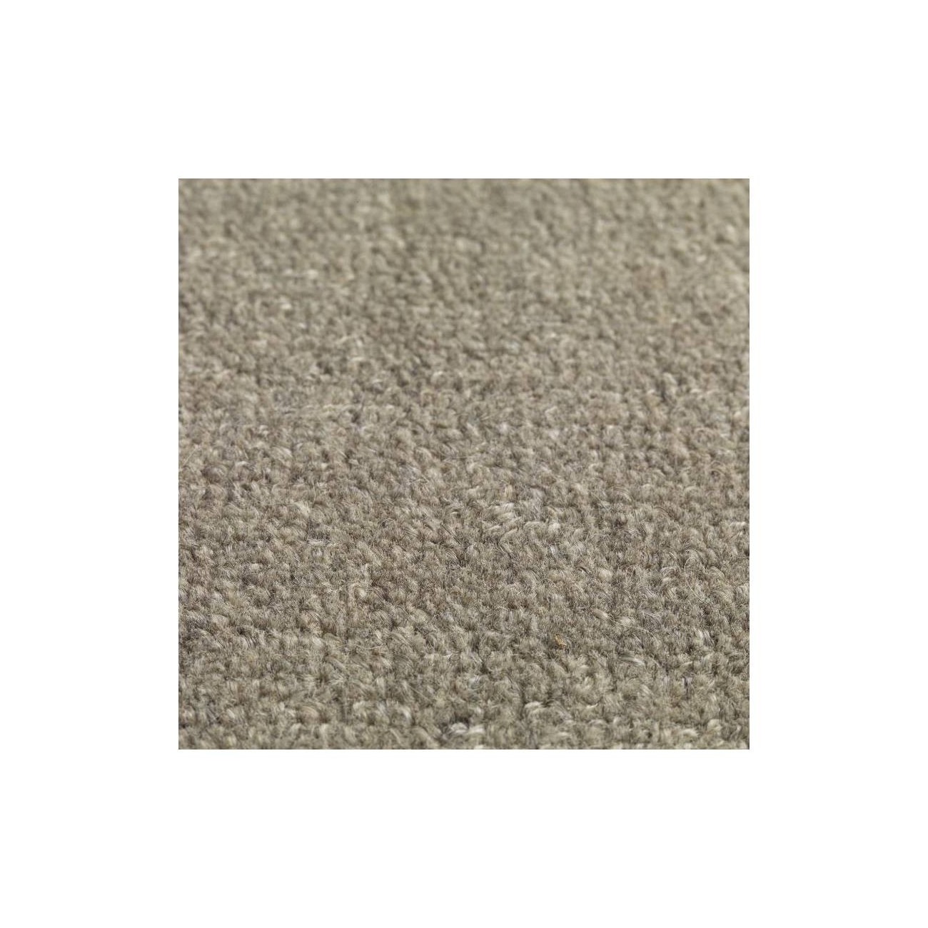 JACARANDA CHENNAI TAPPETI